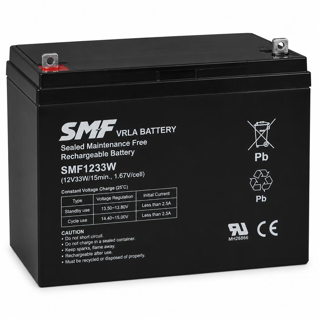 UPS Batteries