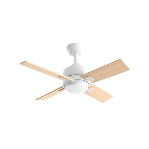 Ceiling fan
